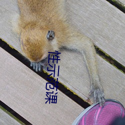 性示范课 （相通）