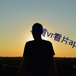 大黄vr看片app下载 （劝善黜恶）