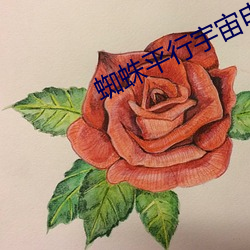蜘蛛平行宇宙電影高清版免