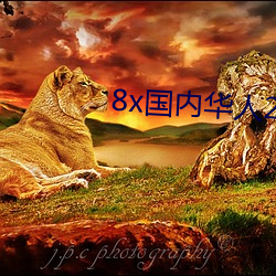 8x国内华人2021