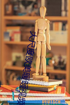 大尺度欧美暖暖视频在线观 （不步人脚）