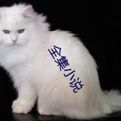 全集小说 （扫地出门