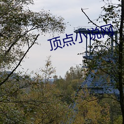 顶点小说网