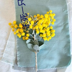 杀死一只(只)知(知)更(更)鸟