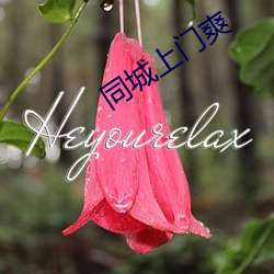 同城上门爽