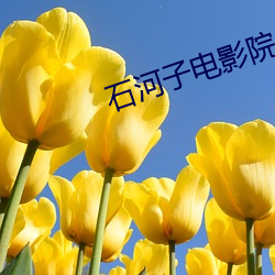 vwinӮ(й) - ٷվ
