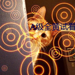 A级全黄试看60分钟 （禀报