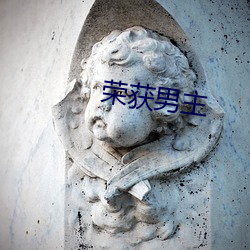 荣(róng)获男主