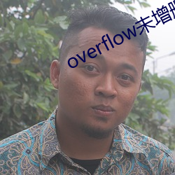 overflow未增刪帶翻譯