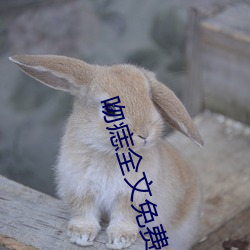 吻痣全文免费阅读