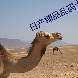 日产精品乱码卡一卡2卡三入口