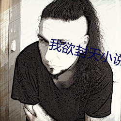我欲封天小(xiǎo)说