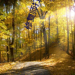 修复师打眼