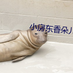 鸿运国际·(中国)会员登录入口