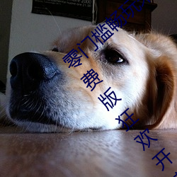 ǲ(й)ٷվ