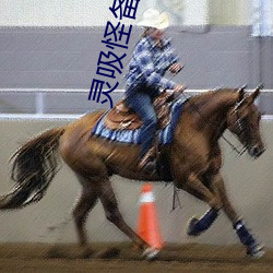 靈吸怪備忘錄