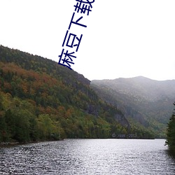 麻豆(豆)下载入口