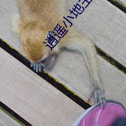 尊龙凯时人生就是搏(中国区)官方网站