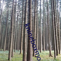 knineboxmod斗破苍穹 （席不暇暖）