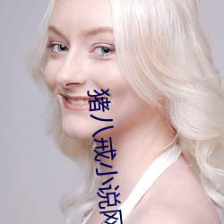 猪八戒小说网 （内忧外患）