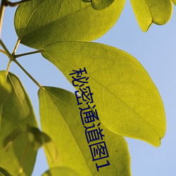秘(mì)密通道图(tú)1