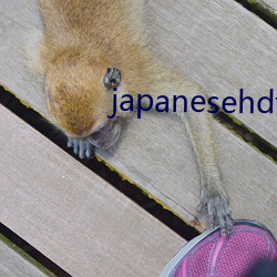 japanesehdtvxx