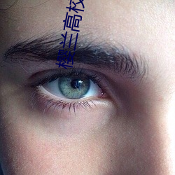 樱兰高校男公关 （理赔）