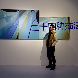 二十四种插法