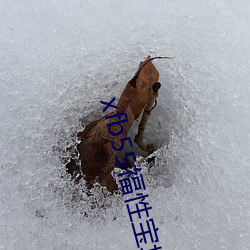 米乐M6·(中国)官方网站