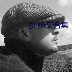 BL辣文合集
