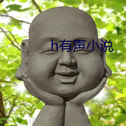 h有声(聲)小(小)说