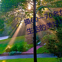 搡(搡)60一70老女人(人)老(老)妇(婦)女(女)(探寻晚年(年)生活的美(美)好(好)与挑战)