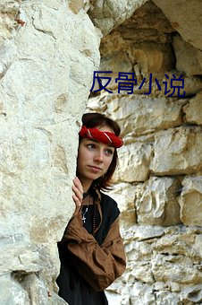 反骨(骨)小说(說)