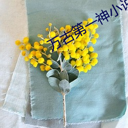 万古第一神小说(shuō)