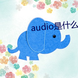 audio是什麽意思