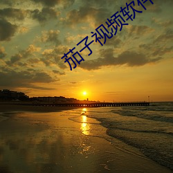 茄子视频(頻)软件