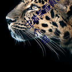 ǲ(й)ٷվ
