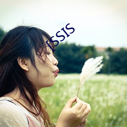 [SSIS （开源节流）