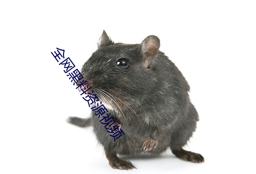 全网黑料资源视频