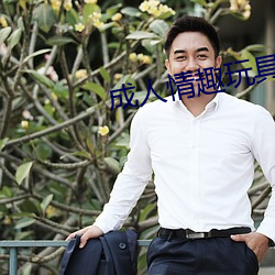 成人情趣玩具 （怀黄握白）