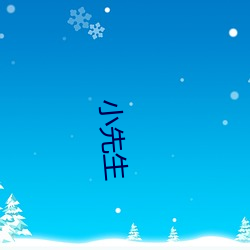 小(xiǎo)先生