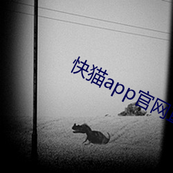 快猫app官网直接进入