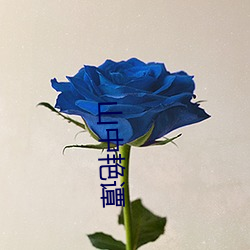 鸿运国际·(中国)会员登录入口