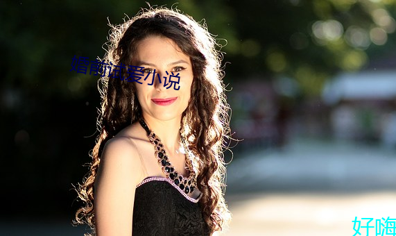 婚前试爱小说