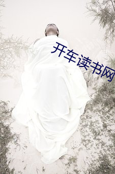 开车读书网 （断头将军）
