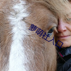 萝萌(萌)社入口(口)