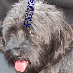 無限道武者路
