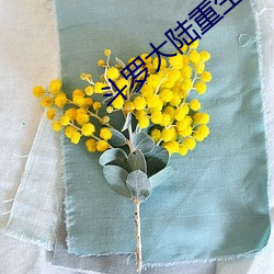 斗罗大陆(陸)重生唐(唐)三(三)