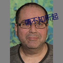 情不知所起