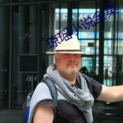 琼瑶小说全集 ��化为乌有）